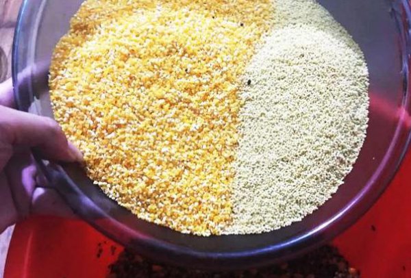 鲤鱼什么时间段最好钓