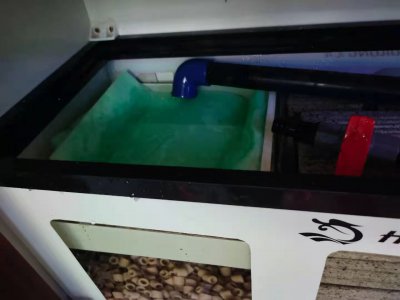 鱼缸过滤棉越脏越好是吗 过滤棉的主要作用是什么