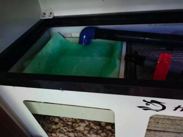 鱼缸过滤棉越脏越好是吗