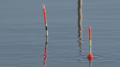 什么类型漂抗走水好 点波漂的特点和使用方法介绍