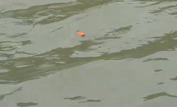 什么类型漂抗走水好