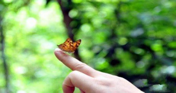 中国最美禅诗十首赏析