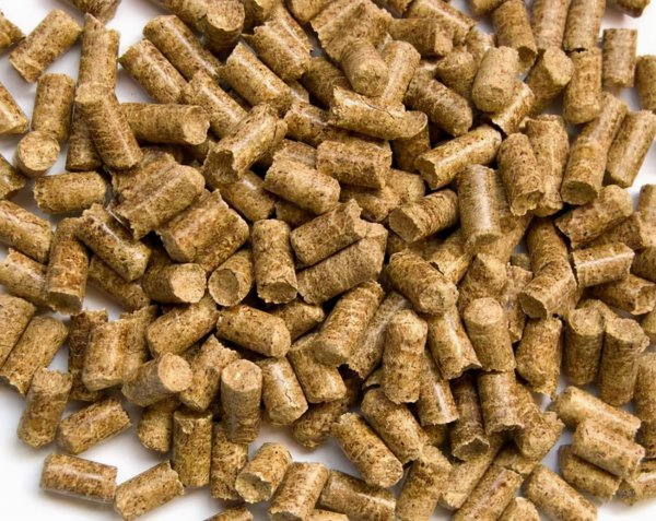 红虫颗粒饵料可以钓什么鱼