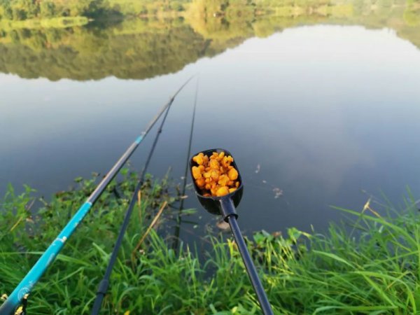 红虫颗粒饵料可以钓什么鱼
