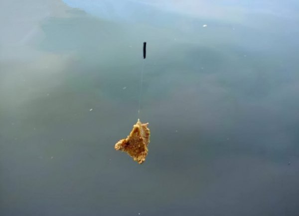 红虫颗粒饵料可以钓什么鱼