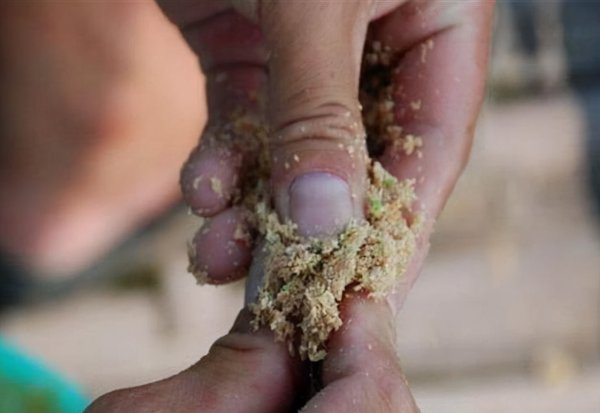 红虫颗粒饵料可以钓什么鱼