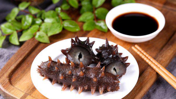 海参是什么动物