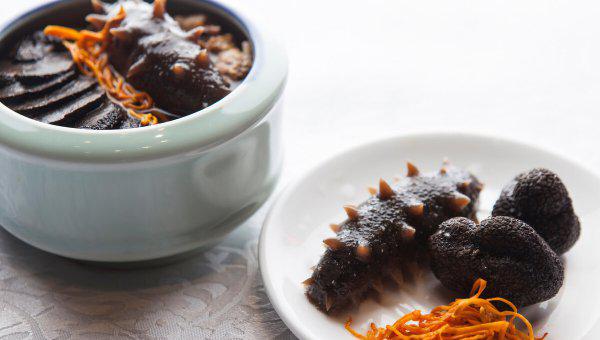 海参是什么动物