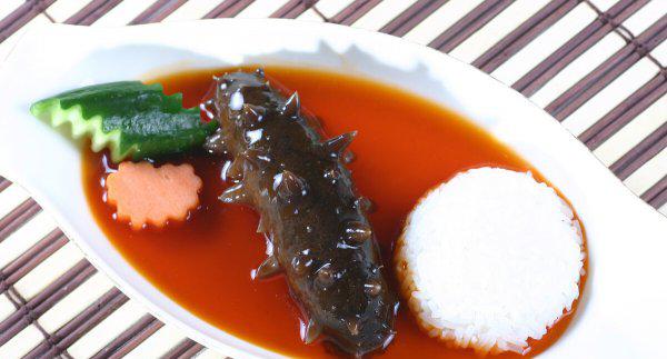 海参是什么动物