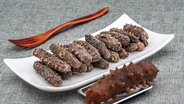 海参是什么动物