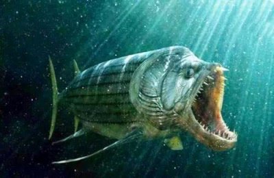 食人鱼最怕什么东西 食人鱼的天敌到底是什么动物