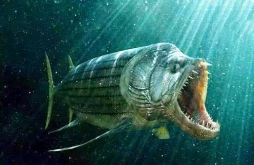 食人鱼最怕什么东西