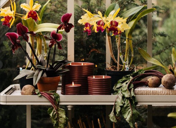 罗意威是什么档次的品牌