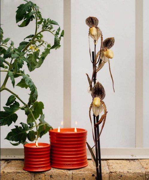 罗意威是什么档次的品牌