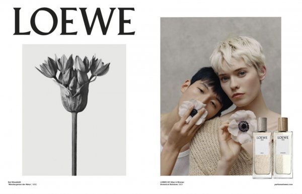 罗意威是什么档次的品牌