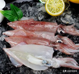 鱿鱼是鱼吗长什么样 大鱿鱼和小鱿鱼的区别有哪些