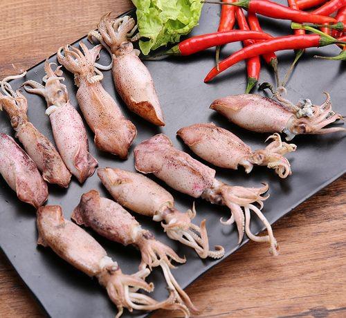 鱿鱼是鱼吗长什么样