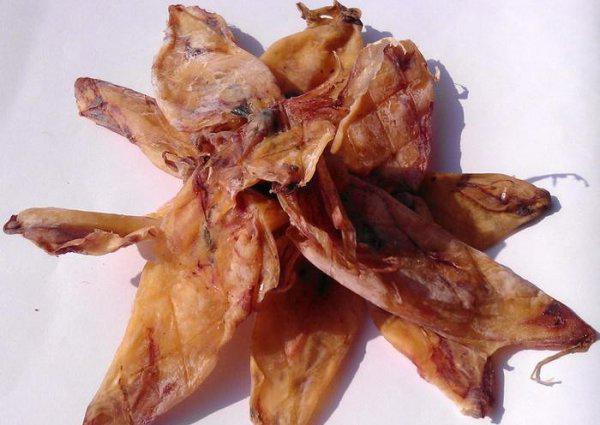 鱿鱼是鱼吗长什么样