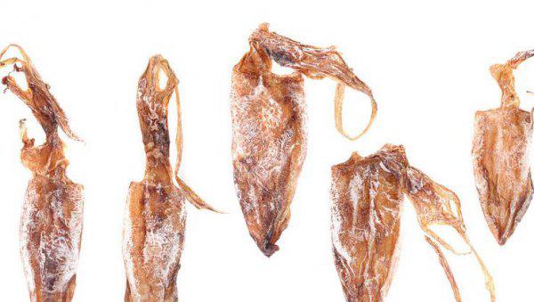 鱿鱼是鱼吗长什么样