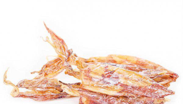 鱿鱼是鱼吗长什么样