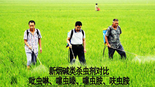 农作物杀虫剂哪个牌子效果好