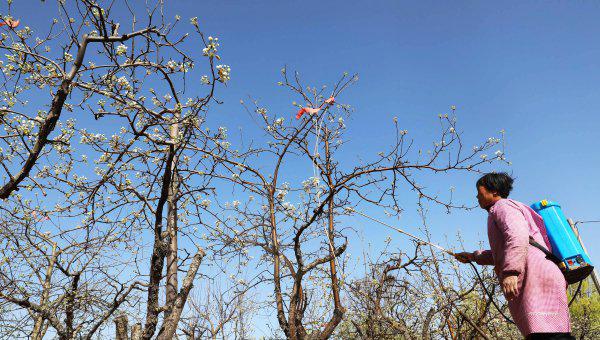 农作物杀虫剂哪个牌子效果好