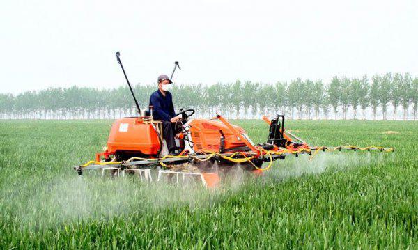 农作物杀虫剂哪个牌子效果好