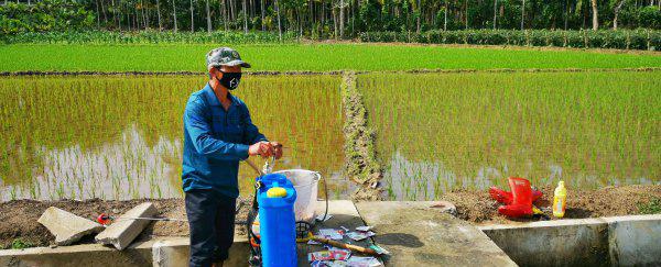 农作物杀虫剂哪个牌子效果好