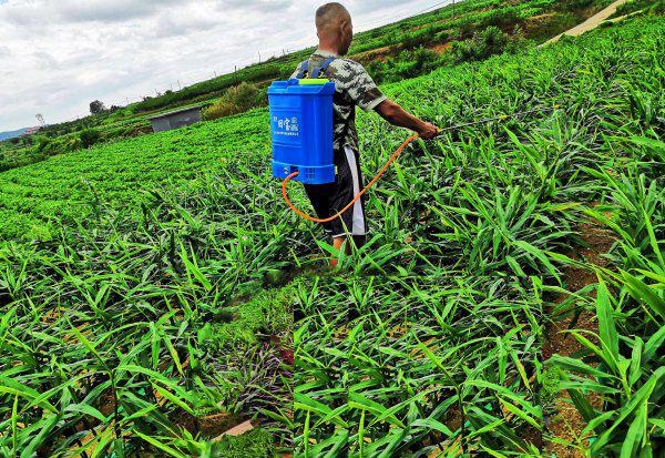 农作物杀虫剂哪个牌子效果好