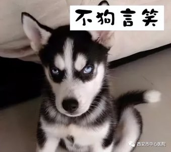 如何让自己变帅 18岁男生怎么最快最有效的变帅气