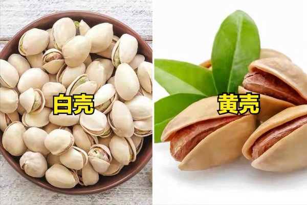 开心果什么颜色的最好