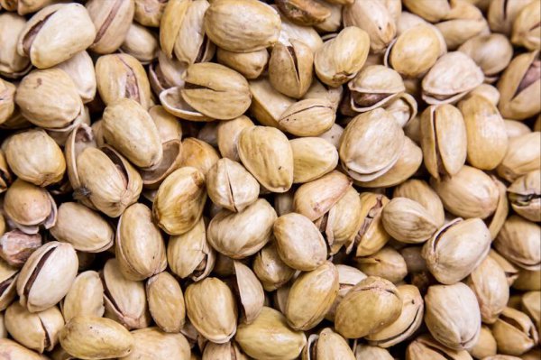 开心果什么颜色的最好