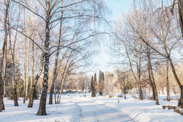 东风是从哪往哪吹的风