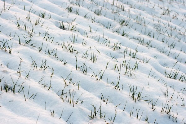 东风是从哪往哪吹的风