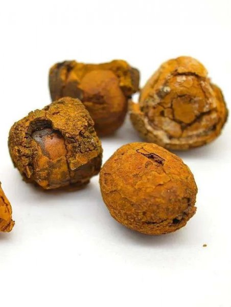 麝香是什么东西做的