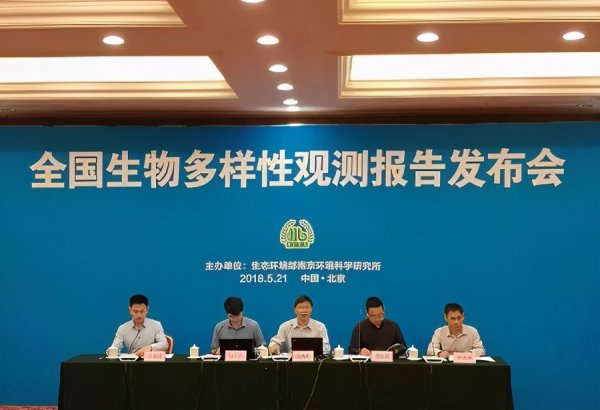 狼的寿命最长是多少年