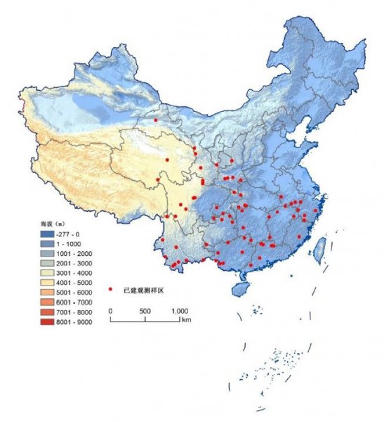 狼的寿命最长是多少年