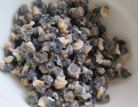 鲤鱼吃什么食物长得快