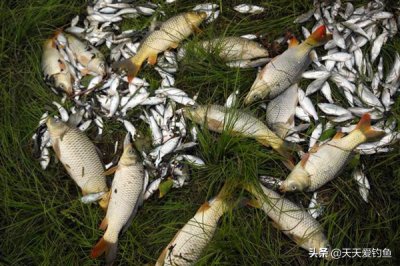 鱼线如何打结最结实 常见的五种鱼线打结方式介绍