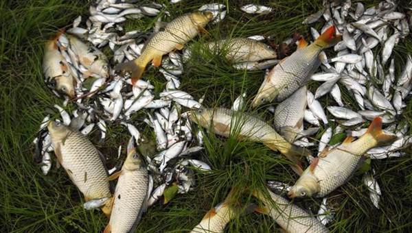 鱼线如何打结最结实