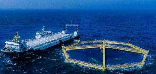 鲑鱼是三文鱼吗