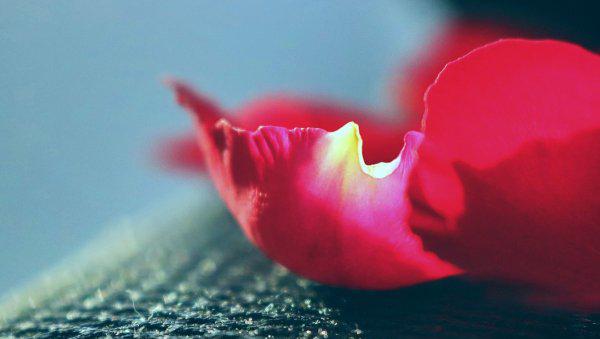 婚外情有真爱吗会长久吗