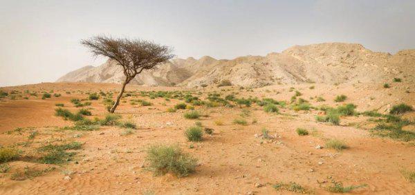 世界沙漠排名前十的都有哪些