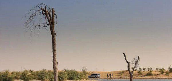 世界沙漠排名前十的都有哪些