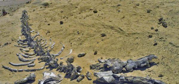 世界沙漠排名前十的都有哪些