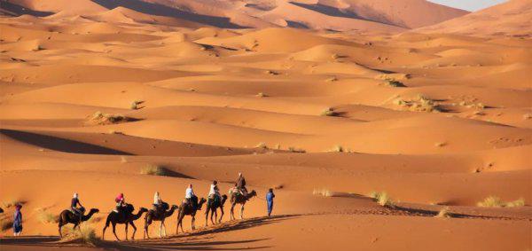 世界沙漠排名前十的都有哪些