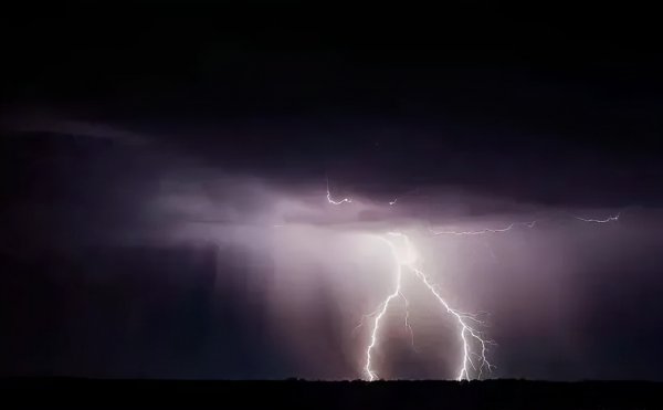 蛇活久了为什么雷会劈