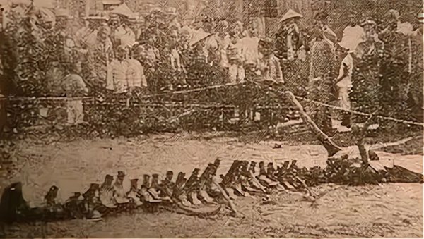 蛇活久了为什么雷会劈