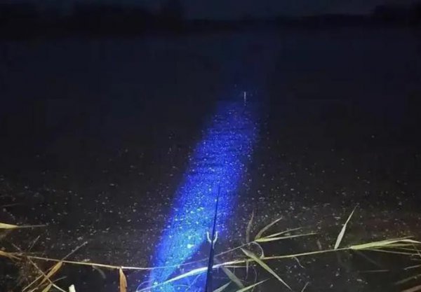 夏天夜钓钓深水还是浅水