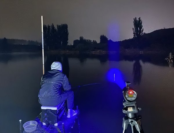 夏天夜钓钓深水还是浅水